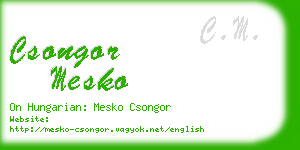csongor mesko business card